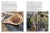 Tierra y gentes. Provincia de Sevilla. Publicaciones y acciones para el turismo. Grupo Pandora. Editor: Pedro Tabernero.
